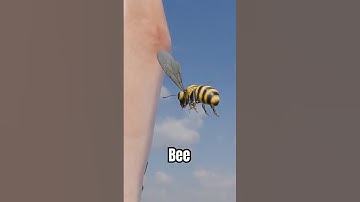 He got stung by a bee 😱