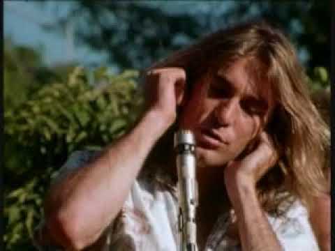 Dennis Wilson  Holy Man (featuring Taylor Hawkins vocal)