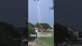 Famous lightning strikes tree in half #lightning #shorts #viral #disaster #fyp #foryou #ctto Profile