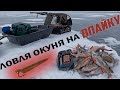 Ловля окуня на блесну впайку. Зимняя рыбалка на Ладоге. Всю зиму окунь стоит в одном месте.