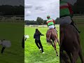 Thunder Hooves in Action | Intense Horse Racing Moment 🐎🔥#shortsfeed #horse #shots #aww #horoscope