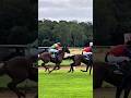 Thunder Hooves in Action | Intense Horse Racing Moment 🐎🔥#shortsfeed #horse #shots #aww #horoscope