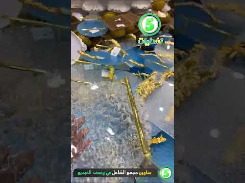 تخفيضات عروض جديد مجمع الشامل كل شي 5 ريال  جدة الرياض خميس مشيط