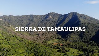 Exploring the virgin nature of the Sierra de Tamaulipas