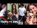 Rated K: Kapamilya celebrities show off their pet dogs