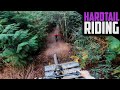 RIDING DIRT JUMPS AND DOWNHILL ON THE UPGRADED HARDTAIL!!