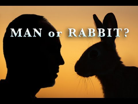 Man or Rabbit? by CS Lewis