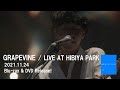 GRAPEVINE - LIVE AT HIBIYA PARK(Official Trailer2)
