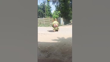 #funk #funkopop #remix #music #fannyvideo #viralvideo #funko Labubu
