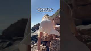 See-Through Lingerie &amp; Micro Bikini Try-OnHaul |Transparent Style2026[4K#See-Through#bikini#lingerie