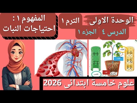 اسهل شرح الدرس الرابع الجزء ١ علوم خامسة ابتدائى الترم الأول 2026 