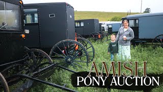 we went to an Amish Pony Auction!!
