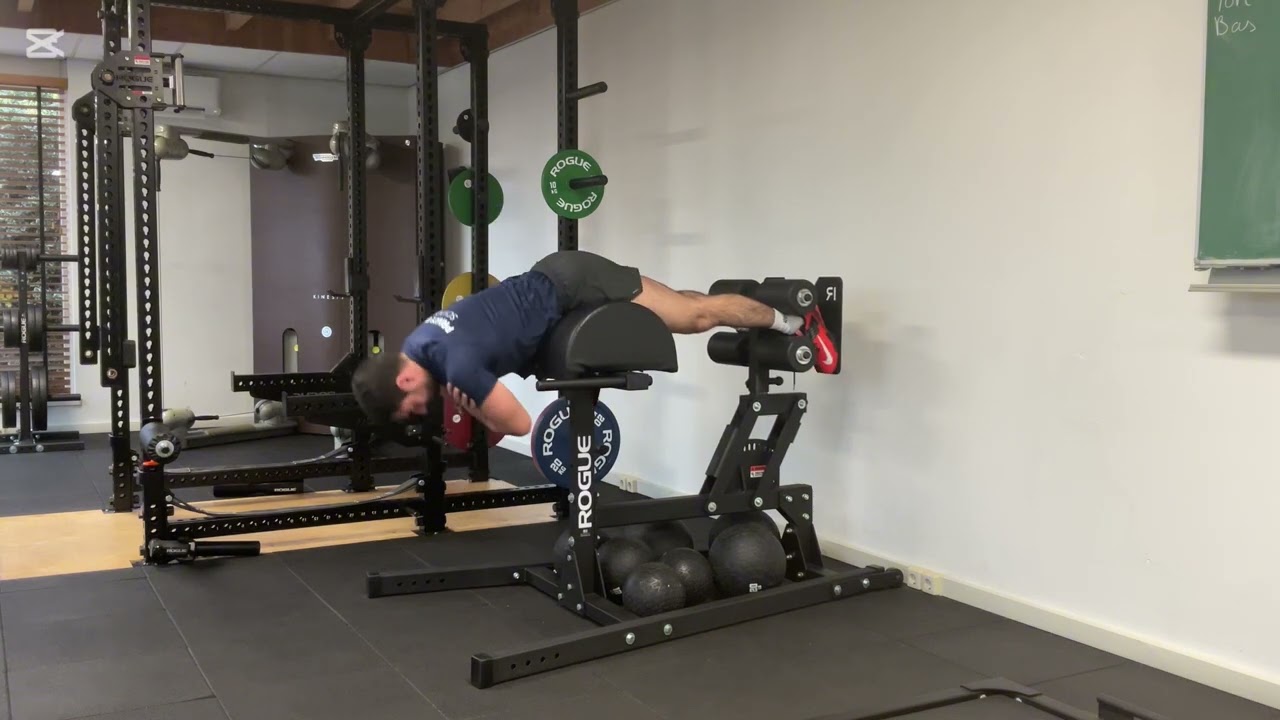 Private Gym - GHD Back Extension