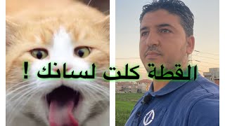 اذاى تقول القطة كلت لسانك بالانجليزي | أمثال شعبية بالانجليزية