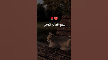 اكتب شيء تؤجر عليه يوم القيامة 😴❤️#قران_كريم #اللهم_صل_وسلم_على_نبينا_محمد #ارح_قلبك #آيات_الرحمة
