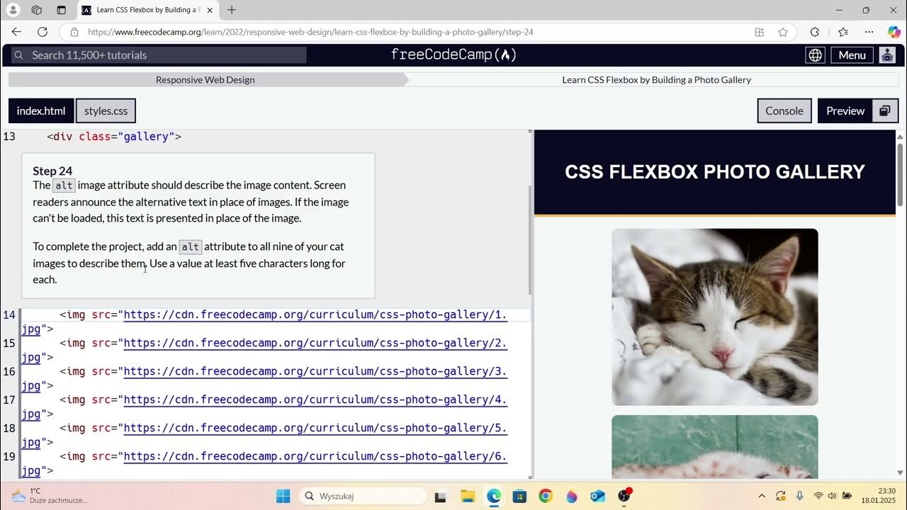 Freecodecamp - Responsive Web Design, learn css flexbox by building a ...
