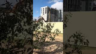 Евпатория расширяется глобальными масштабами 😎