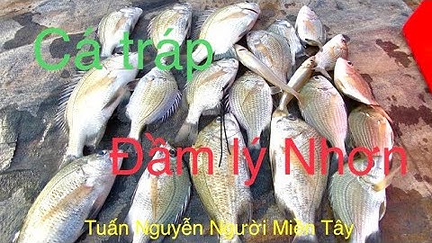 Trúng bầy cá tráp ở đầm cũ lý Nhơn cần giờ../câu cá thiên nhiên ở cần giờ./..