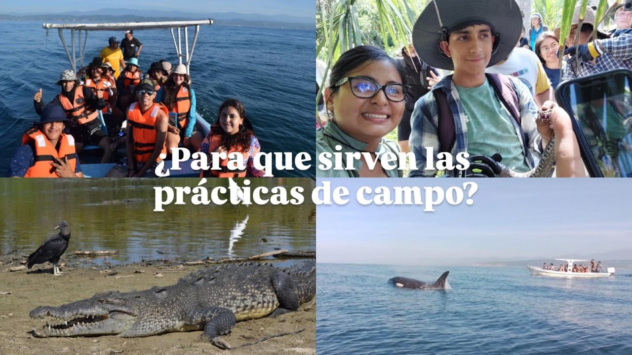 Prácticas de Campo de Biología: 5 Claves para vivir la Biodiversidad - Mi experiencia