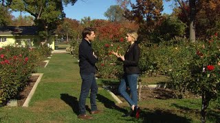 Greta Gerwig on why she fell in love with Barnard College