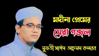 মদীনা প্রেমের সেরা গজল মুফতী সাঈদ আহমদ কলরব new islamic song