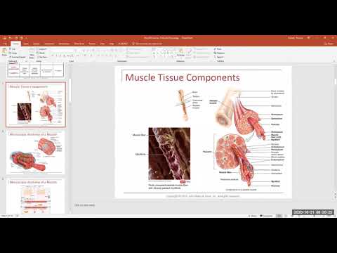 Biol 253 Fyziologie svalů Video 1