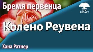 картинка: Урок для женщин. Колено Реувена — бремя первенца. Хана Ратнер