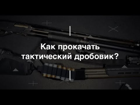 Как прокачать тактический дробовик? Проект Чистота