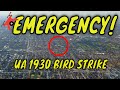 Emergency landing kovaction emergency landing ua1930 birdstrike