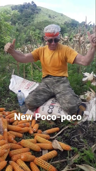 #Poco-poco versi Opa Bule