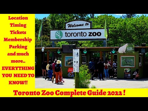 Video: Una guida per visitare lo zoo della metropolitana di Toronto