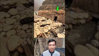 Nepal’s Water-Powered Flour Mill 😲
