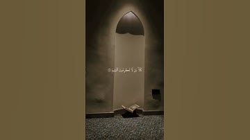 تلاوة من سورة الفجر بصوت الشيخ ماهر المعيقلي