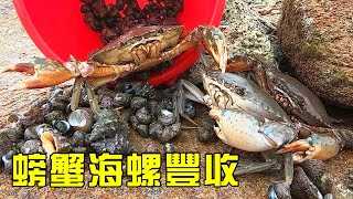 [Collection of Fierce Goods] After leaving for the sea at 3: 00 a.m.  Xiao Yu caught a lot of crabs