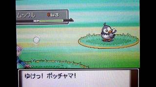 ポケモン プラチナ 201番道路で100レベにしよう Part5 Youtube ポケモン プラチナ 201番道路で100レベにしよう Part5 Youtube