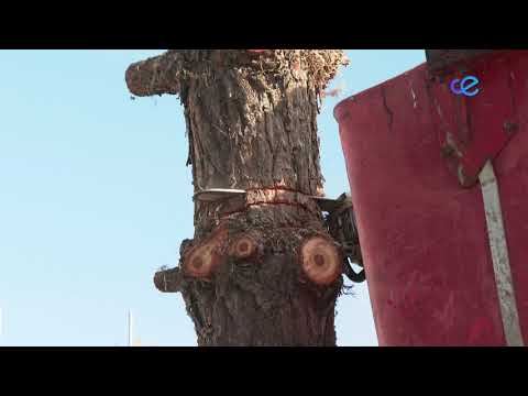 Podemos pide la dimisión del Consejero de Medio Ambiente y Servicios Urbanos