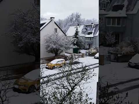 Video: ¿Nieva en bayreuth?