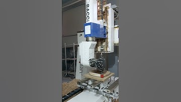 Cut Wood cnc bacci