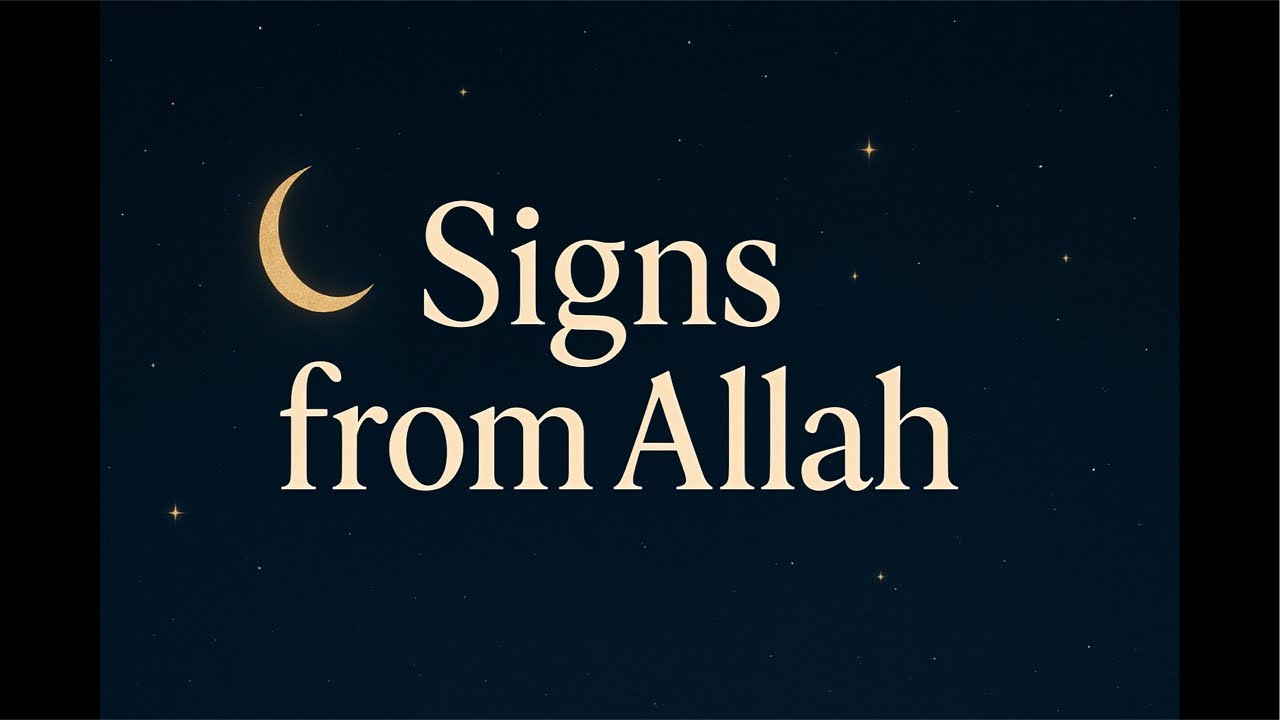 Free Tarot Reading Yes or no