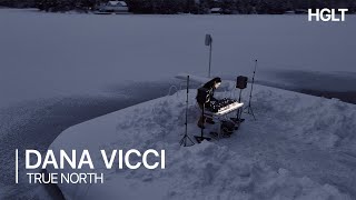 Dana Vicci | True North Set ✩