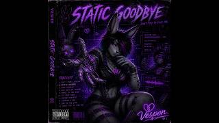 Static Goodbye