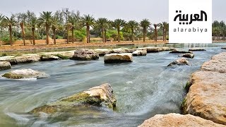 نشرة الرابعة | وادي نمار.. منتزه ترفيهي لسكان الرياض خلال فصل الصيف