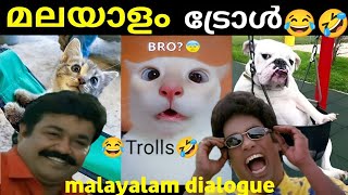 Malayalam dialogue animals funny video | part-6 | full comedy 😂🤣 🐈🐕 | jk7trolls #animalfunny