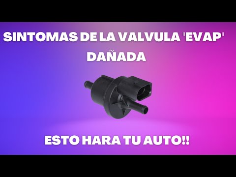 SÍNTOMAS de LA