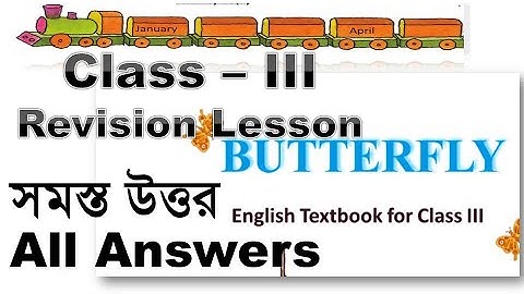 Class 3 Butterfly Revision Lesson Activity 1 to 21 Question Answer Solved English WB