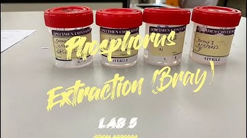 Lab 5: Phosphorus Extraction (Bray)