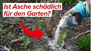 Ist asche schädlich für den garten?
