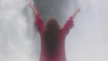 Stark Effect - Single Day Red Rose