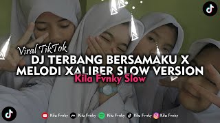 DJ TERBANG BERSAMAKU X MELODI XALIBER SLOW VERSION