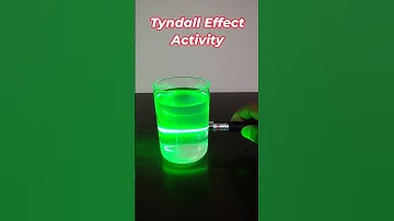 Fun Science Experiment: Tyndall Effect with Milk 🔦 #shorts #tyndalleffect